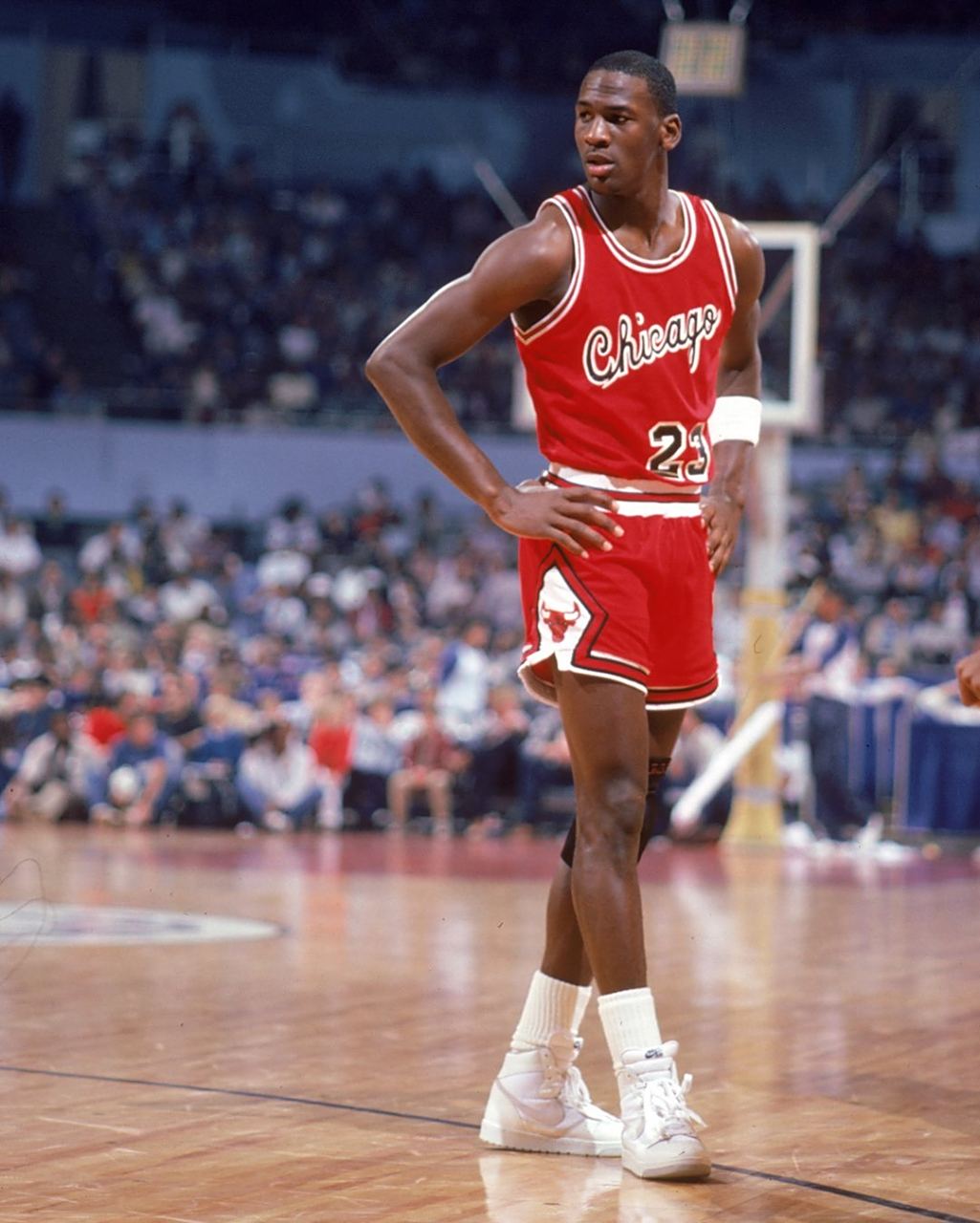 如果你需要 如果你需要