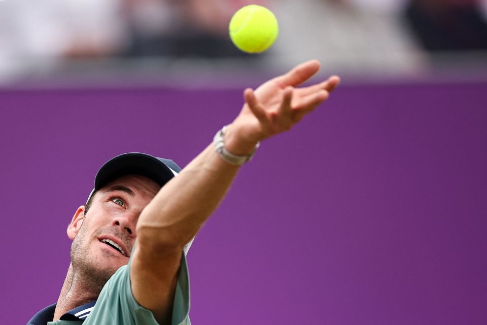 替补的重要 替补的重要