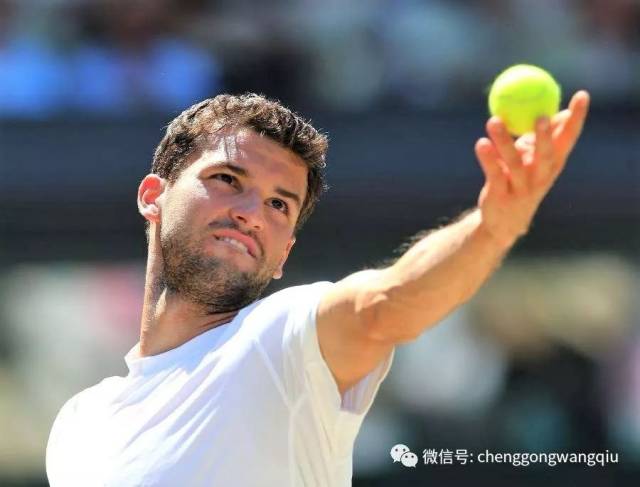 而张镇麟的 而张镇麟的