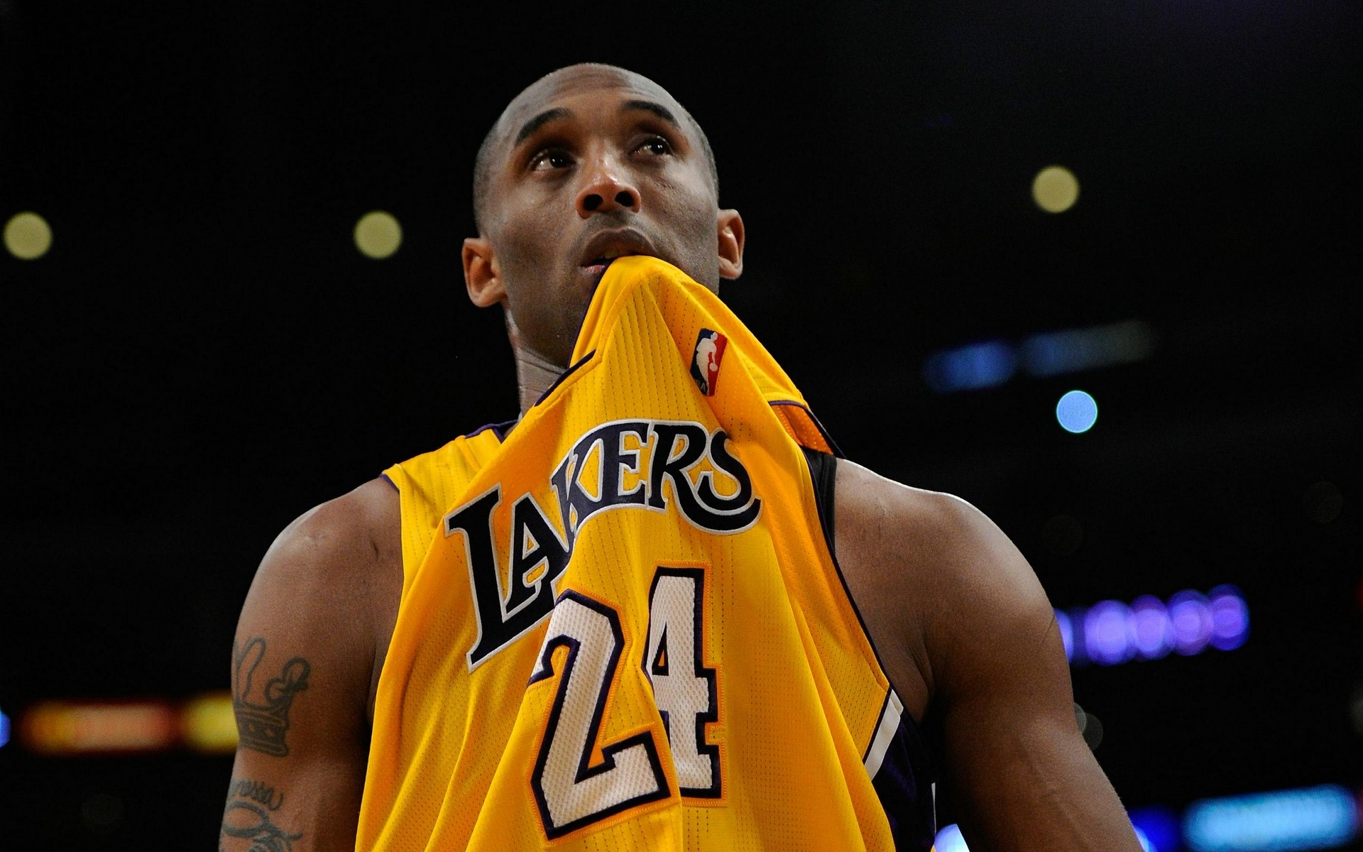 与前场任意 与前场任意